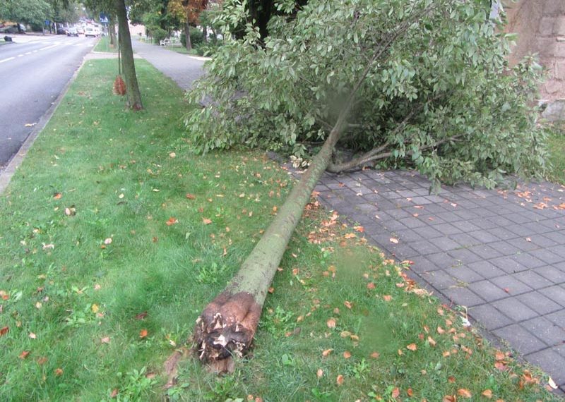 Olujno nevrijeme izazvalo štete u Ljubuškom