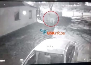 Migrant silovao psa u Bihaću