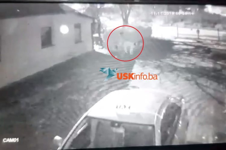 Migrant silovao psa u Bihaću