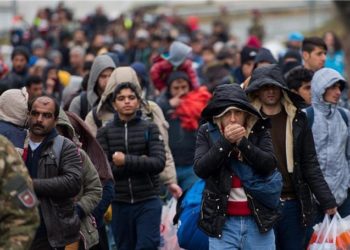 Hrvatska će zabraniti ulazak ministrima iz BiH jer huškaju migrante na ilegalni ulazak u RH?