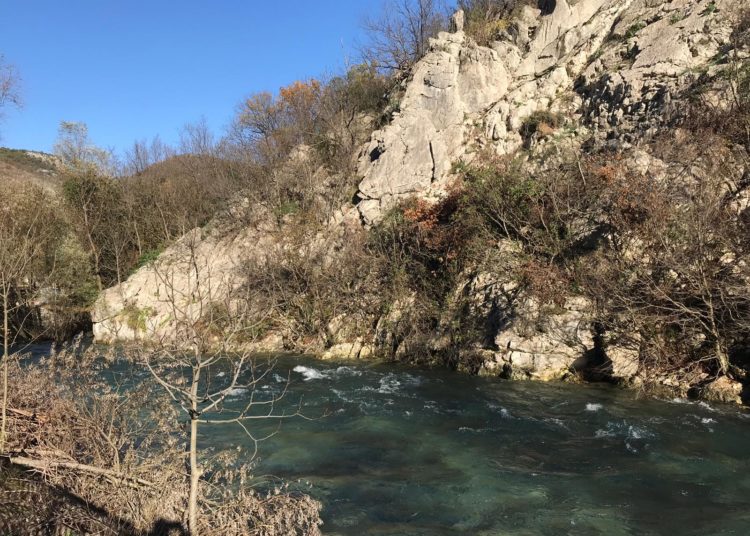 Širokobriježani jedva dočekali sunce i pohrlili u Park Sajmište i Borak
