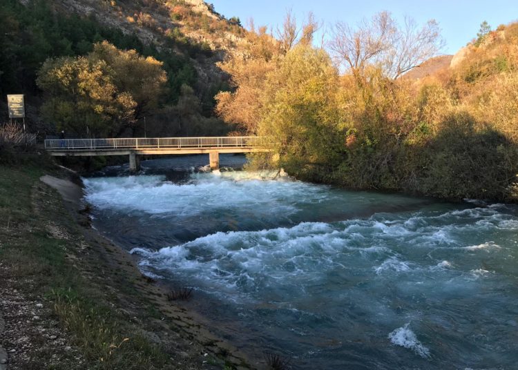 Širokobriježani jedva dočekali sunce i pohrlili u Park Sajmište i Borak