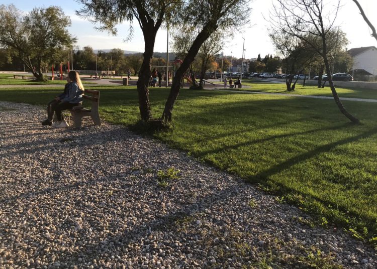 Širokobriježani jedva dočekali sunce i pohrlili u Park Sajmište i Borak