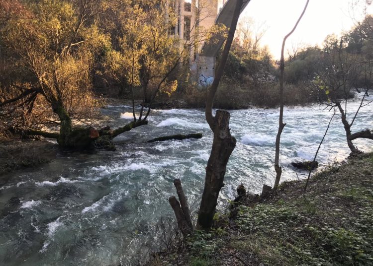 Širokobriježani jedva dočekali sunce i pohrlili u Park Sajmište i Borak