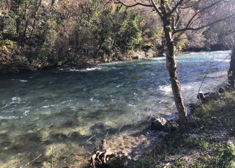 Širokobriježani jedva dočekali sunce i pohrlili u Park Sajmište i Borak