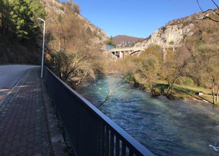 Širokobriježani jedva dočekali sunce i pohrlili u Park Sajmište i Borak