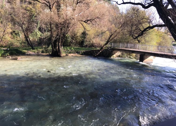 Širokobriježani jedva dočekali sunce i pohrlili u Park Sajmište i Borak