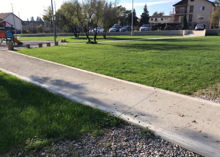 Širokobriježani jedva dočekali sunce i pohrlili u Park Sajmište i Borak