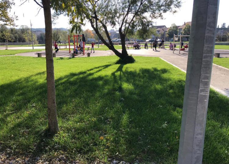 Širokobriježani jedva dočekali sunce i pohrlili u Park Sajmište i Borak