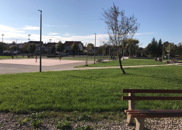 Širokobriježani jedva dočekali sunce i pohrlili u Park Sajmište i Borak