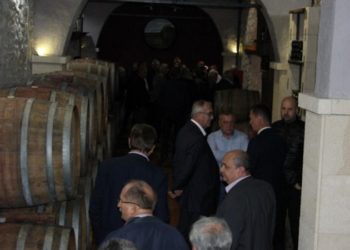 Susret vinara Hercegovine i Dalmacije u Čapljini