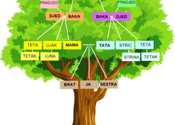 Svi rodbinski nazivi: Znate li što su jetrva, svastika, badžo?