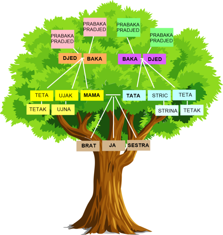 Svi rodbinski nazivi: Znate li što su jetrva, svastika, badžo?