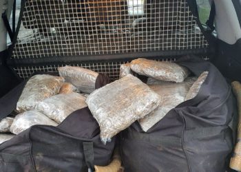 SIPA u Mostaru uhitila dvije osobe sa 40 kg droge