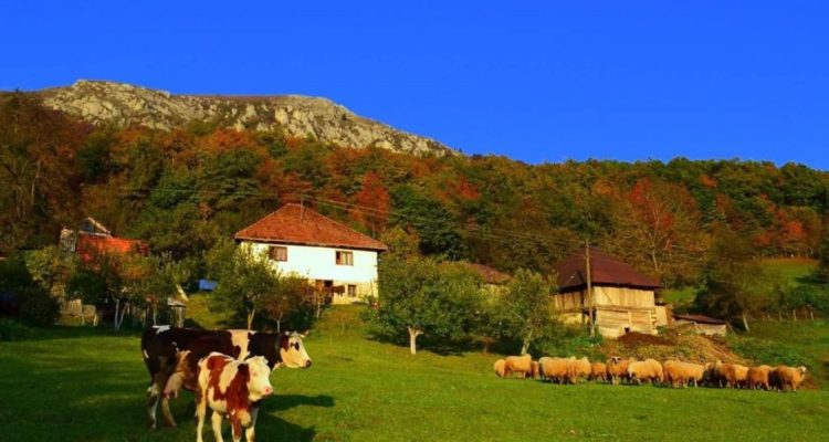 Demografska katastrofa: Čak 500 sela u BiH sablasno je prazno