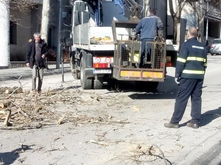 Posušje: Uklonjena stabla koja su predstavljala opasnost