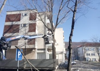 Posušje: Uklonjena stabla koja su predstavljala opasnost
