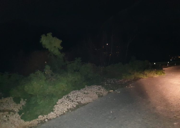 Jak vjetar u Mostaru lomio stabla, rušio fasade, krovove, oštećeno više automobila