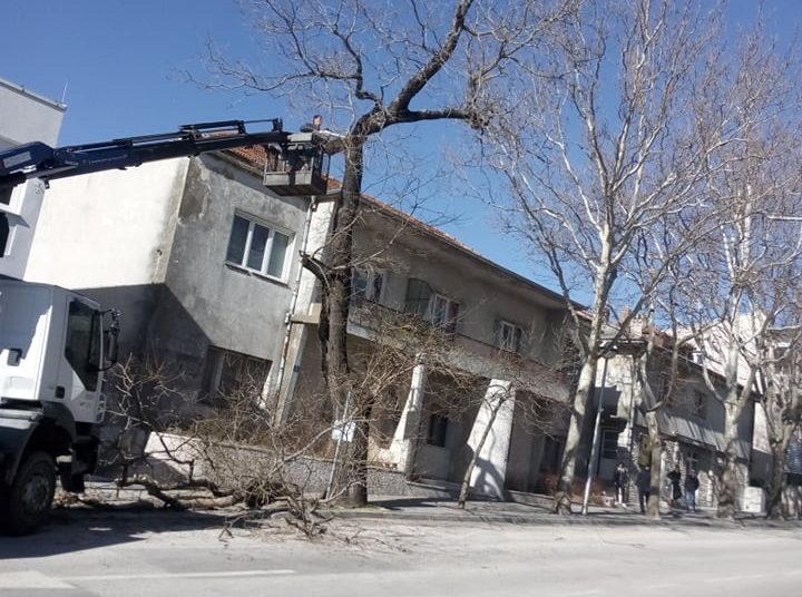 Posušje: Uklonjena stabla koja su predstavljala opasnost