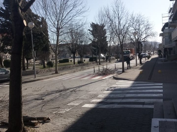 Posušje: Uklonjena stabla koja su predstavljala opasnost