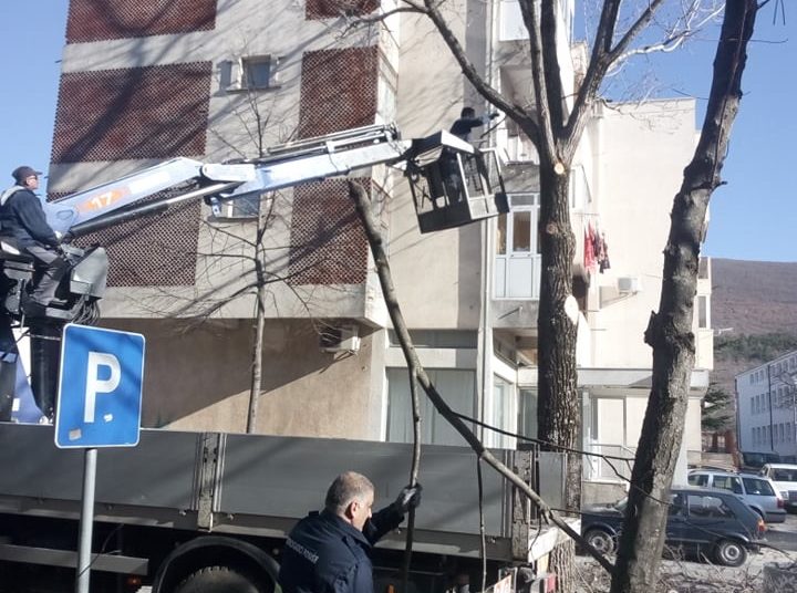 Posušje: Uklonjena stabla koja su predstavljala opasnost