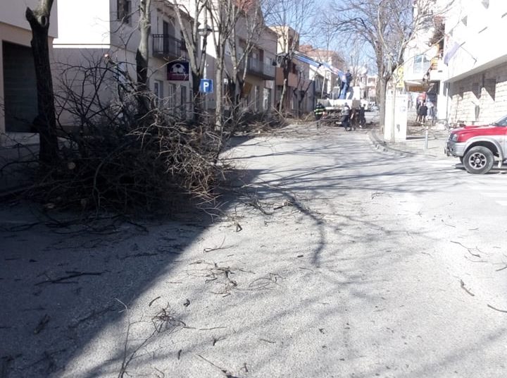 Posušje: Uklonjena stabla koja su predstavljala opasnost