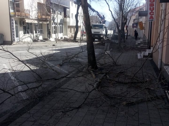 Posušje: Uklonjena stabla koja su predstavljala opasnost