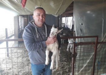 Grude i Rakitno kao primjer: U kozlarstvu leži veliki potencijal