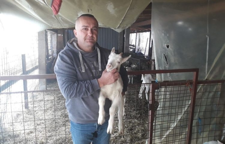 Grude i Rakitno kao primjer: U kozlarstvu leži veliki potencijal