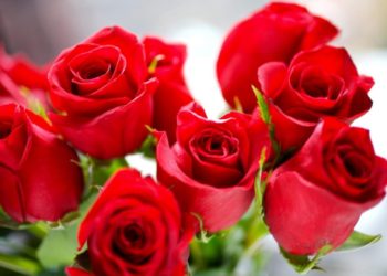 Međunarodni je dan žena. Znate li zašto ga obilježavamo?