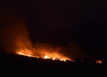 Izbio požar na južnoj strani otoka Hvaru, vatra se brzo širi zbog jake bure