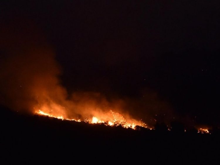 Izbio požar na južnoj strani otoka Hvaru, vatra se brzo širi zbog jake bure