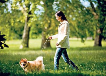 Ne napuštajte kućne ljubimce, psi i mačke ne prenose koronavirus
