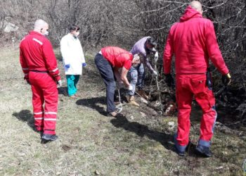 GSS Široki Brijeg na intervenciji spašavanja konja