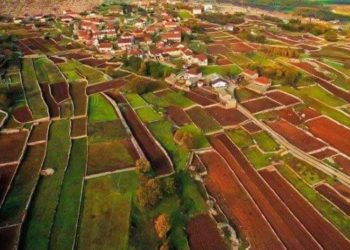 Otvoreno pismo o COVID-19 organizacije Hercegovina – uskoro zemlja prosperiteta