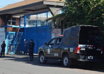 Krvavi rat oko meksičkih avokada