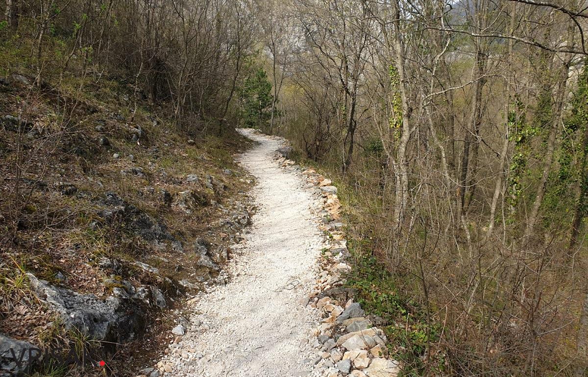 Borak je uvijek prekrasan, posebice u proljeće (FOTOGALERIJA)