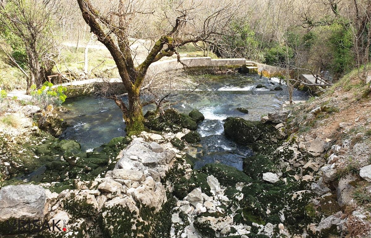 Borak je uvijek prekrasan, posebice u proljeće (FOTOGALERIJA)