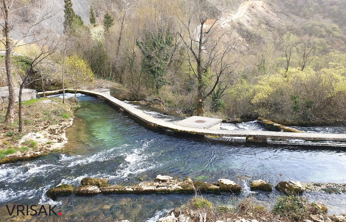 Borak je uvijek prekrasan, posebice u proljeće (FOTOGALERIJA)