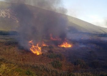 Opožareno više desetaka hektara parka prirode Hutovo blato