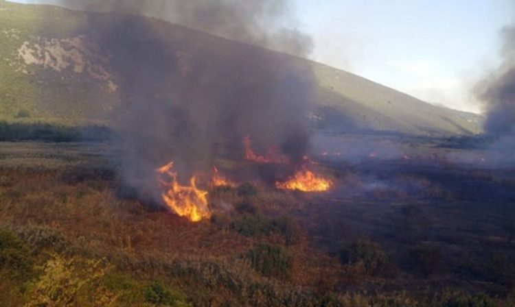 Opožareno više desetaka hektara parka prirode Hutovo blato