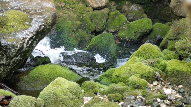 Širokobriješka srednjovjekovna utvrda, Lončareve mlinice i hercegovački Machu Picchu