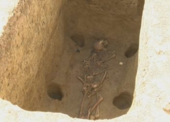 Arheološka senzacija u Vinkovcima: Avarski ratnik s konjem