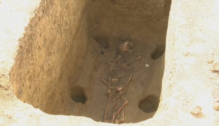 Arheološka senzacija u Vinkovcima: Avarski ratnik s konjem