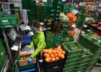 Svjetske organizacije upozoravaju na rizik od nestašice hrane