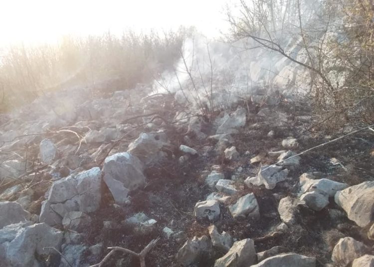 U ŽZH 11 požara u protekla 24 sata, između ostaloga u Dobrkovićima i Biogracima