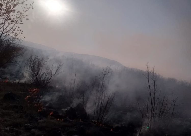 U ŽZH 11 požara u protekla 24 sata, između ostaloga u Dobrkovićima i Biogracima