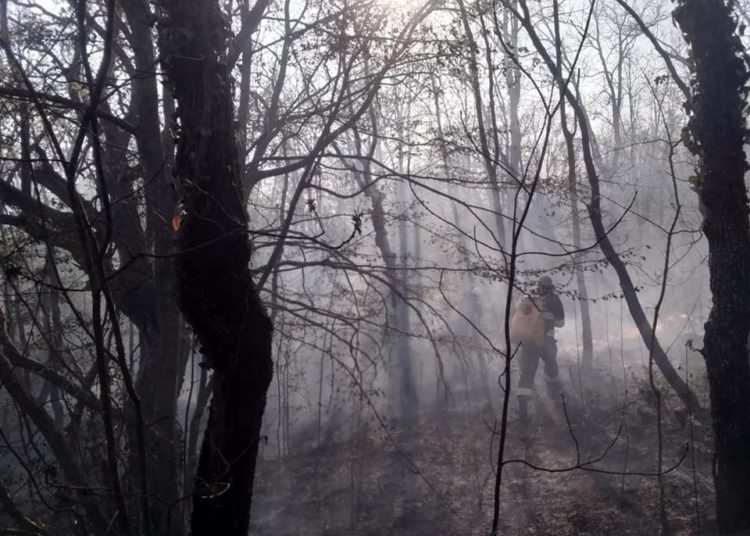 U ŽZH 11 požara u protekla 24 sata, između ostaloga u Dobrkovićima i Biogracima