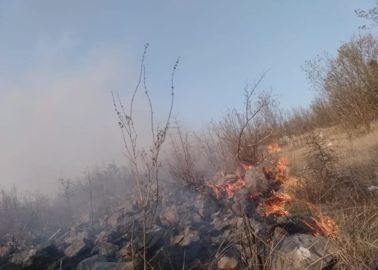 U ŽZH 11 požara u protekla 24 sata, između ostaloga u Dobrkovićima i Biogracima