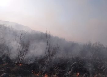 U ŽZH 11 požara u protekla 24 sata, između ostaloga u Dobrkovićima i Biogracima